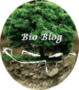 Blog bio