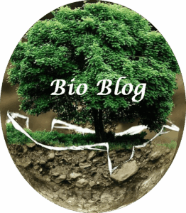 Blog bio